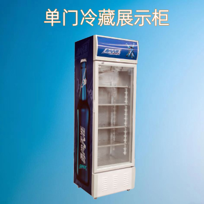 单门定制画款展示柜冷藏柜风冷直冷可选厂家直销